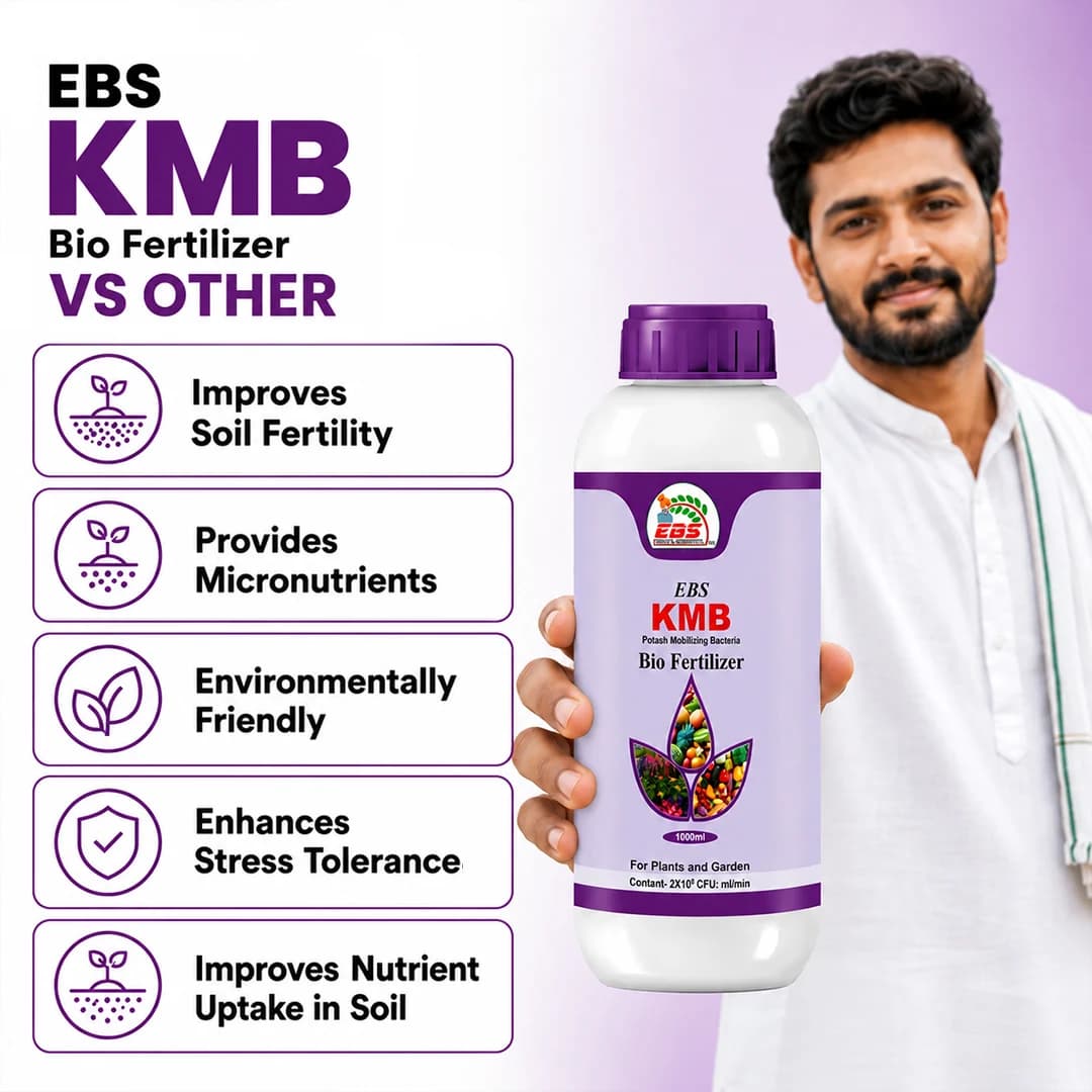 EBS KMB ಪೊಟ್ಯಾಶ್ ಮೊಬಿಲೈಜಿಂಗ್ ಬ್ಯಾಕ್ಟೀರಿಯಾ ಜೈವಿಕ ಗೊಬ್ಬರ, ಸಸ್ಯಗಳು, ಬೆಳೆಗಳು ಮತ್ತು ಮನೆ ತೋಟಕ್ಕೆ ಬಳಕೆ - Image 7