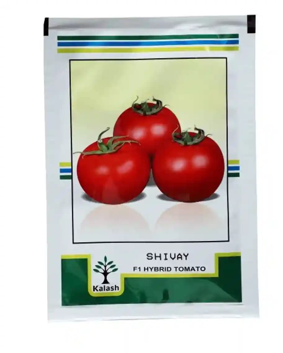 Kalash Shivay Tomato Seeds - (Tamatar Seeds) Shaped Of Square Round And Indeterminate - Image 1