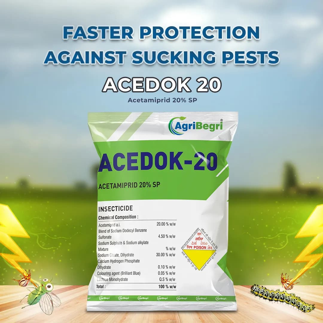 Acedok-20 Insecticide - Acetamiprid 20% SP - Image 2