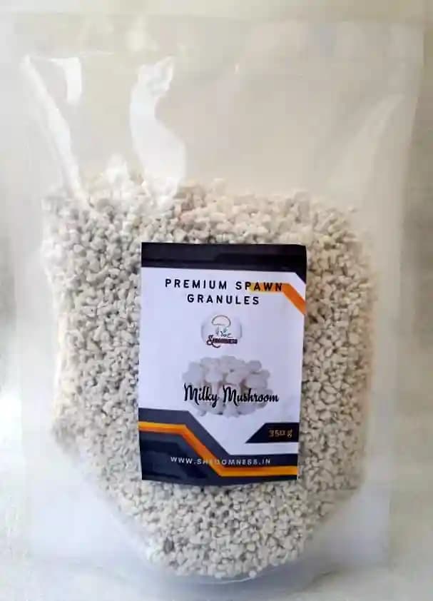 SporeKart Premium Spawn Granules, Milky Mushroom Seeds, 100% Clean, Concentrated, Active Mycelium Granules - Image 2