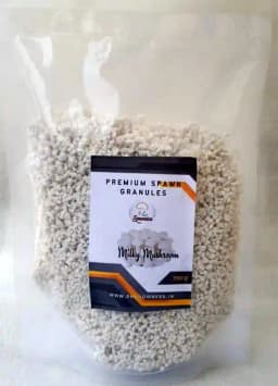 Shroomness Premium Spawn Granules, Milky Mushroom Seeds, 100% Clean, Concentrated, Active Mycelium Granules 1