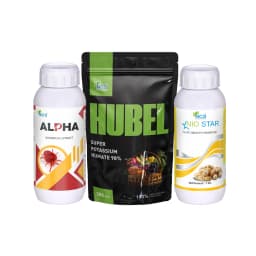 Chilli Virus Special For Pre-Treatment (Set of Alpha 250 ML + Nio Star 100 ML + Hubel 900 GM) Best Effect On Chilli Virus 2