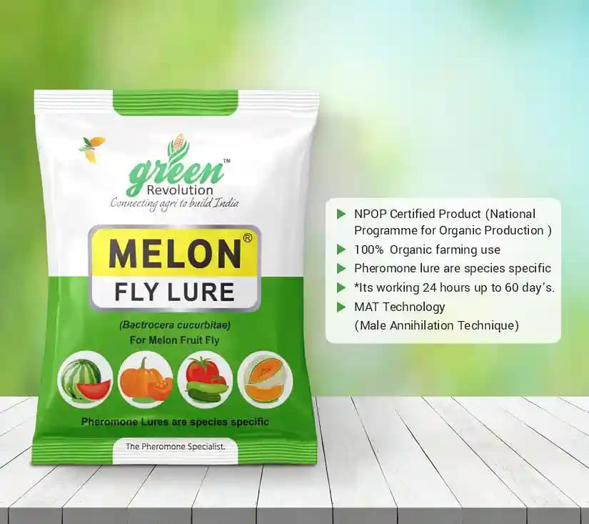 मैक्सप्लस ट्रैप, मेलन फ्लाई ल्यूर, बैक्ट्रोसेरा कुकुरबिटे को नियंत्रित करने के लिए, तरबूज, मस्क मेलन, ककड़ी, लौकी, कद्दू, सभी सब्जियों के लिए उपयोगी. - Image 6