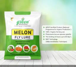 Maxplus Trap With Melon Fly Lure, For Controlling Bactrocera Cucurbitae, For Water Melon, Musk Melon, Cucumber, Bottle Gourd, Pumpkin, all Vegetables 6