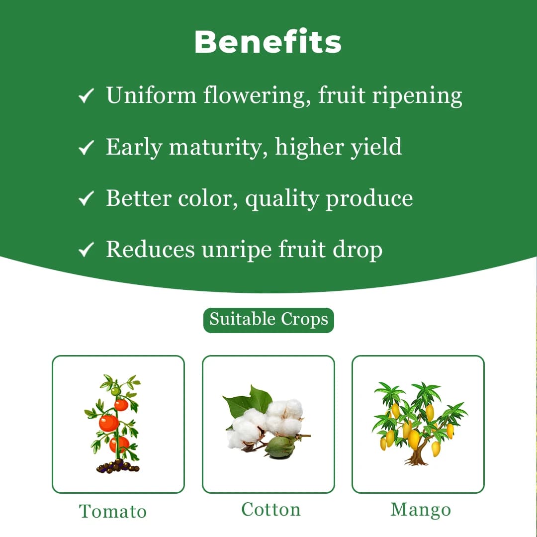 Bayer Ethrel Ethephon 39% SL, Plant Growth Regulator, Which Improves Colouration And Accelerates Uniform Ripening Of Fruits - Image 4