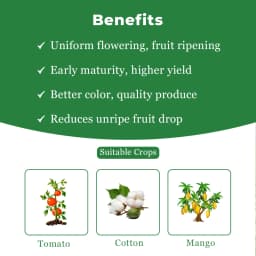 Bayer Ethrel Ethephon 39% SL, Plant Growth Regulator, Which Improves Colouration And Accelerates Uniform Ripening Of Fruits 4