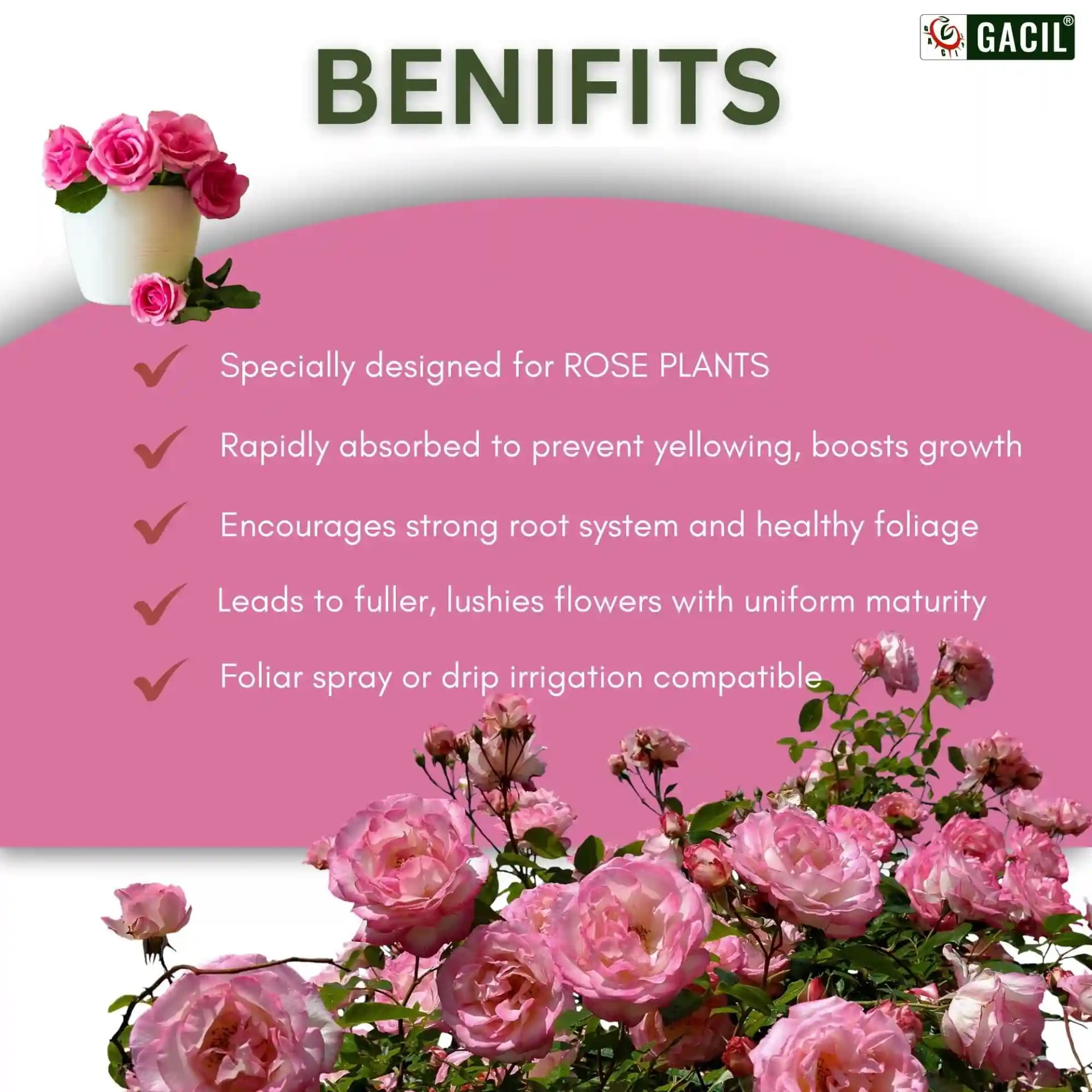 GACIL Rose Special Organic Liquid Micronutrient Fertilizer For Faster Growth. - Image 10