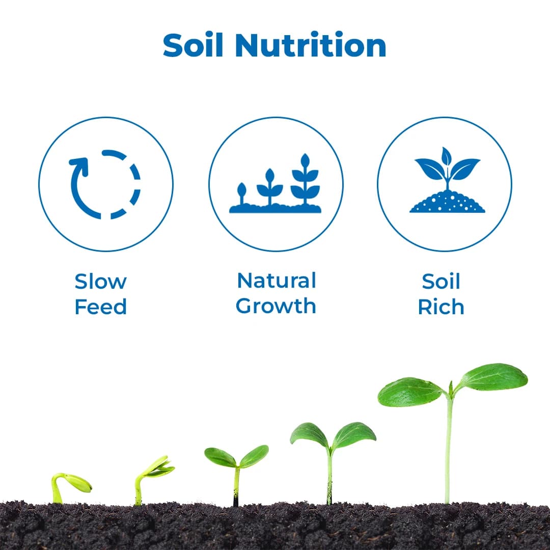 Anand Fruit Luster (High Quality Organic Potash In Luster Form), Extends Shelf Life And Keeps Quality Of Produce. - Image 3