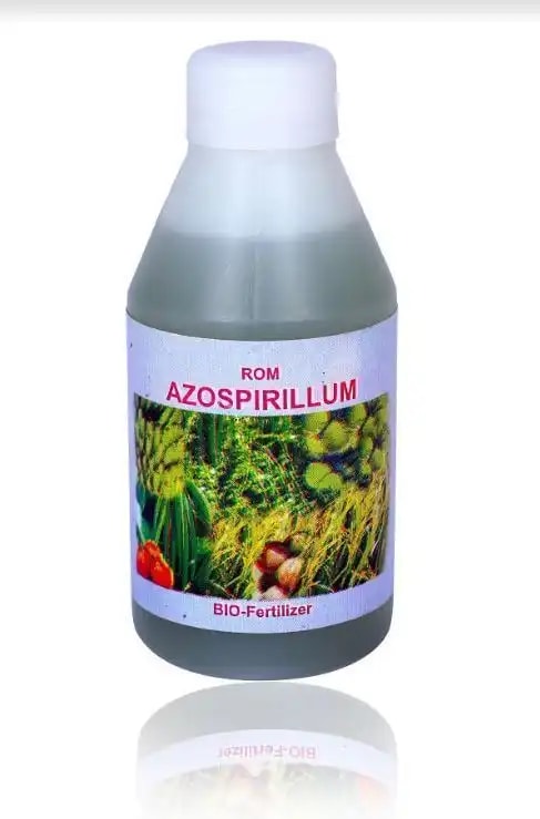 ROM Azospirillum (Nitrogen Fixing Bacterium), Bio Fertilizer For All Crops, Used For Plant Growth And Soil Development