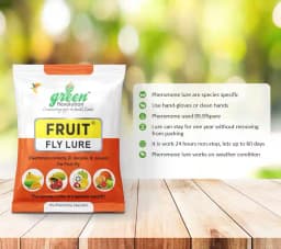 Fruit Fly pheromone Trap Set For 1 Acre and Lure For Bactrocera Correcta, Zonata, Dorsalisa. 3