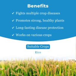 Tata Rallis Ayaan Kresoxim Methyl 40% + Hexaconazole 8% Wg, Use For Gardening Plants And Field Crops 4