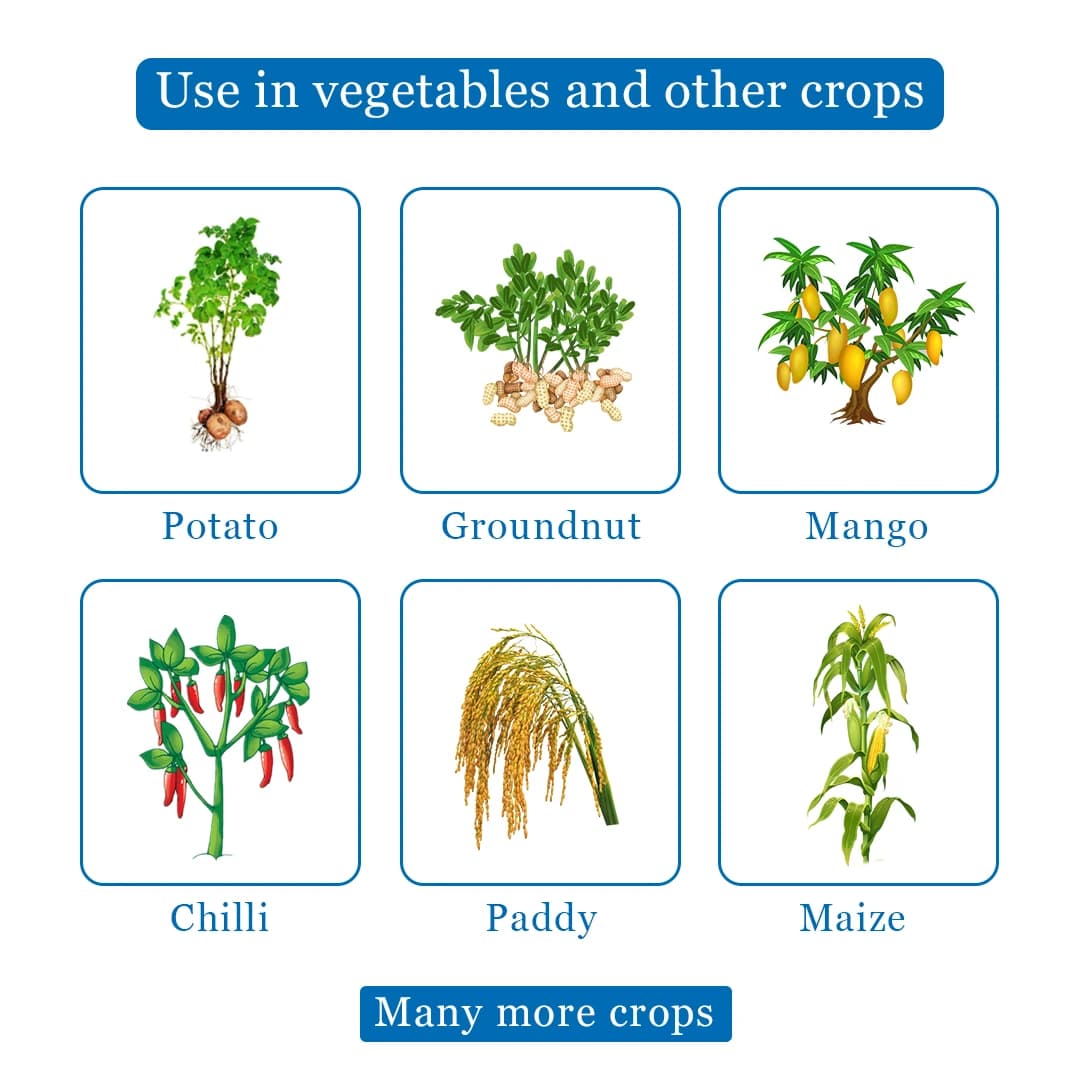 UPL Saaf Fungicide - Carbendazim 12% + Mancozeb 63% WP - Image 4