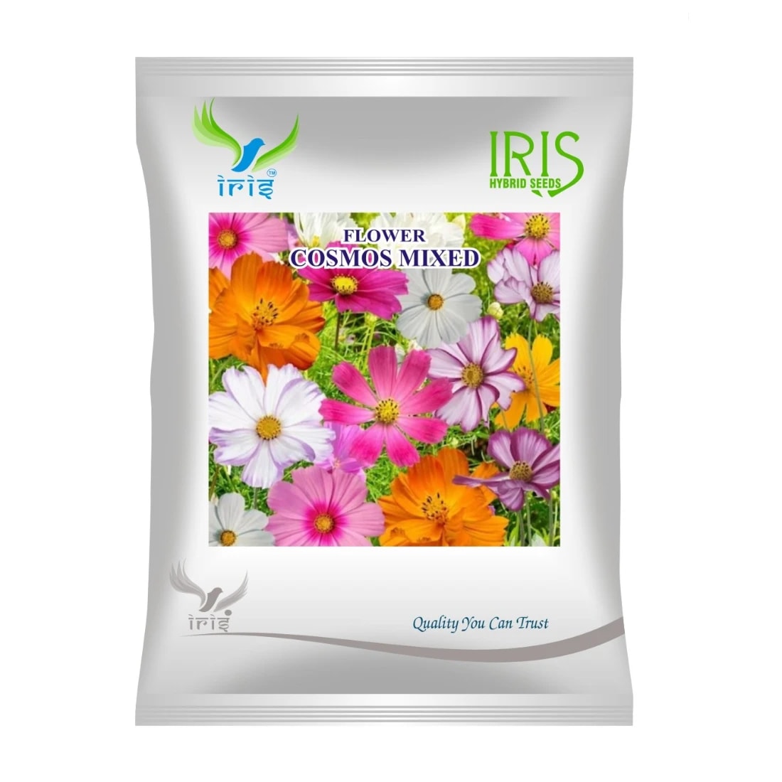 Iris Cosmos Mix Hybrid OP Flower Seeds, Annual Flowers, Best For Lawn Fencing.