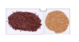 RK Seeds Combo Of Alfalfa seeds, Lucerne seeds And Hedge Lucerne Seeds, Cab Be used as animal fodder. 1