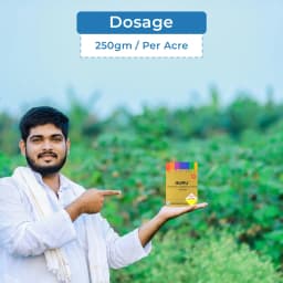 Gharda Guru Fipronil 10% + Diafenthiuron 30% WG Insecticide, Powerful Whitefly And Thrips Control 5