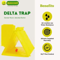 WAVAR Delta Trap with Plutella Xylostella Lure, Effective For Diamondback Moth Pest Control 2