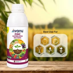Green Revolution Jivanu ZSB Zinc Solubilizing Bacteria Liquid Bio Fertilizer, Boosts Soil Fertility And Sustainability 7