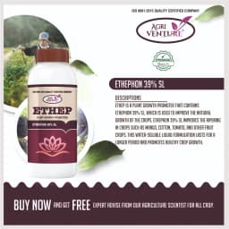 Agriventure ETHEP Ethephon 39% SL Plant Growth Promoters, Effective For Fruit And Vegetable Crops 2