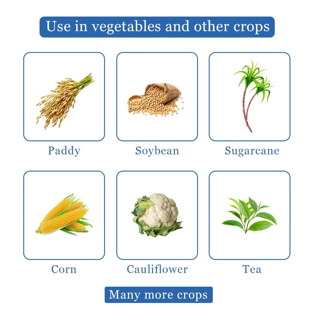 EBS Validaguard Validamycin 3% L Fungicide, Effective Against Soil Borne Diseases - Image 4
