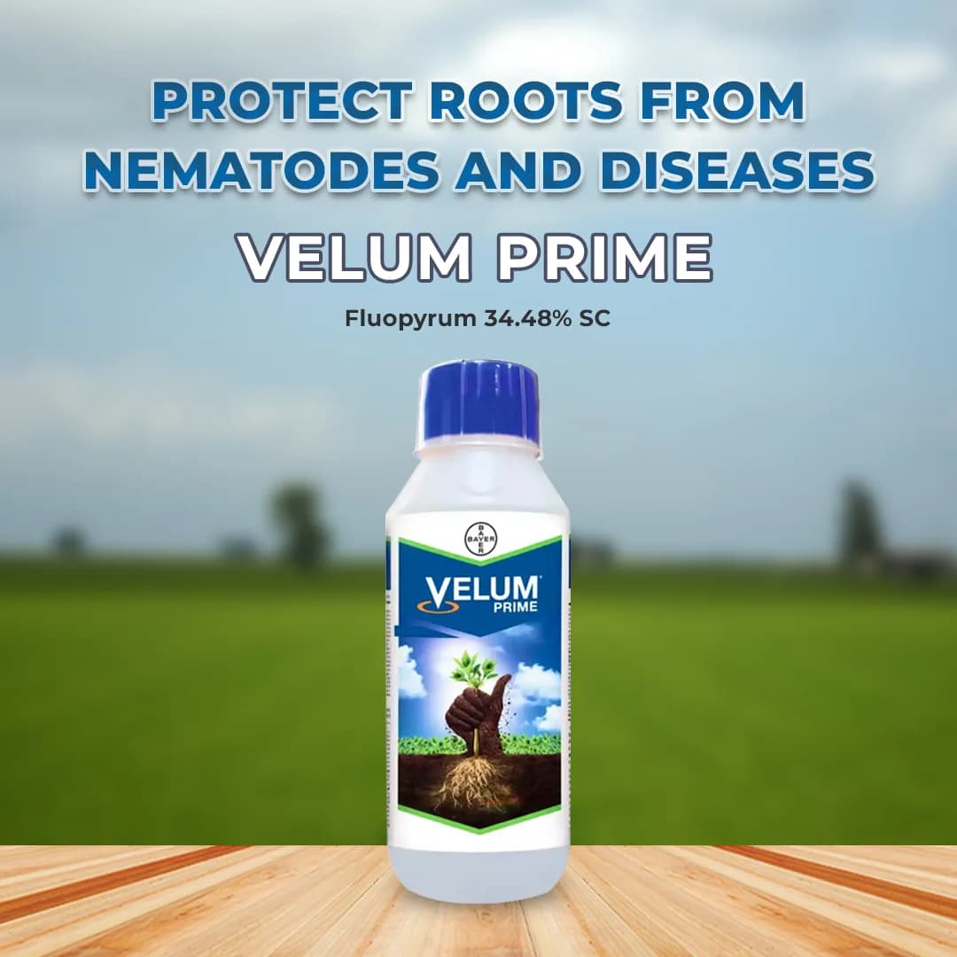 Bayer Velum Prime Nematicide - Image 2