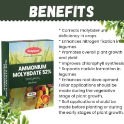 Katyayani Ammonium Molybdate 52% Organic Fertilizer, Corrects Molybdenum Deficiency in Crops, Promotes Overall Plant Growth and Yield 4