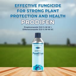 Agriventure Prodifen (Propiconazole 13.9 % W-W + Difenoconazole 13.9 % W-W Ec) Fungicide 2