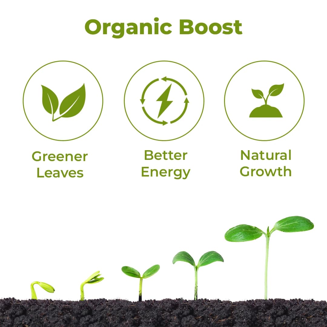 जीएसीआईएल कैल्शियम मैग्नीशियम नाइट्रेट लिक्विड माइक्रोन्यूट्रियेंट खाद - पौधों की वृद्धि के लिए। - Image 3