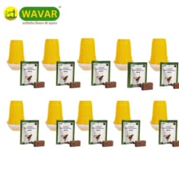 WAVAR Fruit Fly Trap with Bactrocera Cucurbitae Lure, Effective For Melon Fruit Fly Control In Cucurbit Crops 6