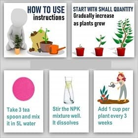 Greatindos NPK 12:32:16 Fertilizer - Image 3