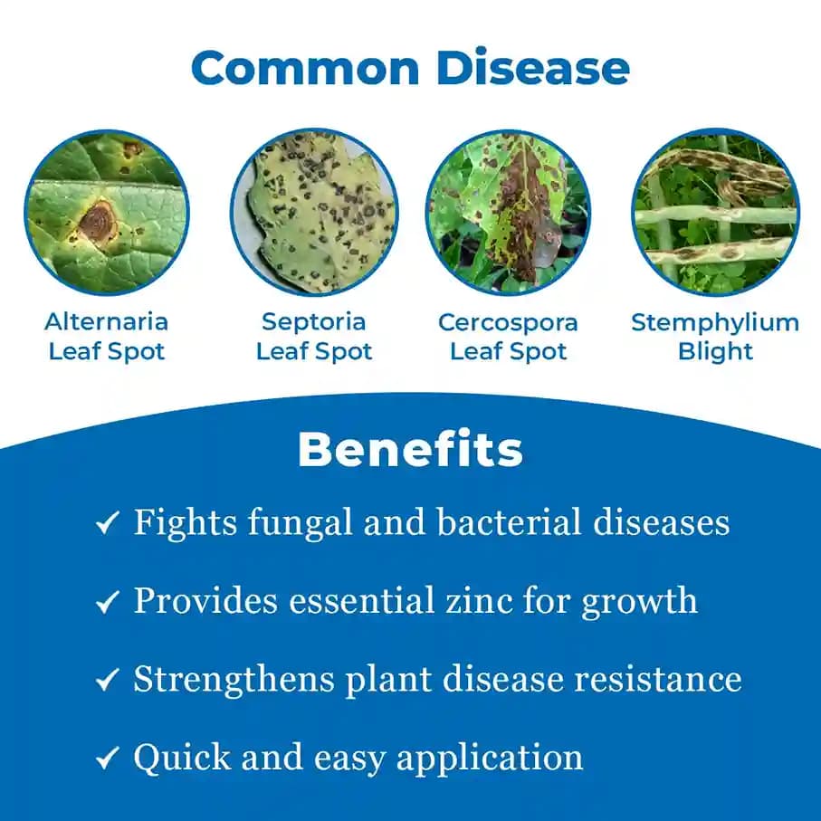 CUREAL Best Fungicide and Bactericide Zinc Based, Nontoxic and Eco-Friendly - Image 3
