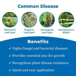 CUREAL Best Fungicide and Bactericide Zinc Based, Nontoxic and Eco-Friendly 3