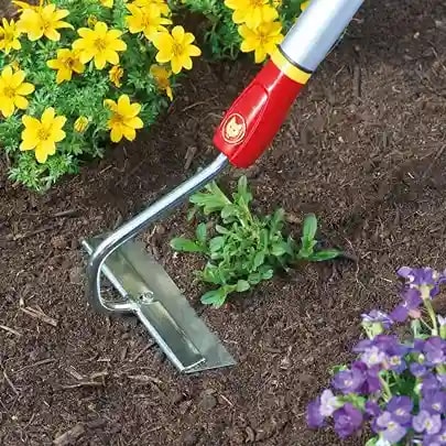Wolf Garten Floral Hoe (HU M15) 15 cm, Draw Hoe Weeder Without Handle, Excellent Weeding Tool