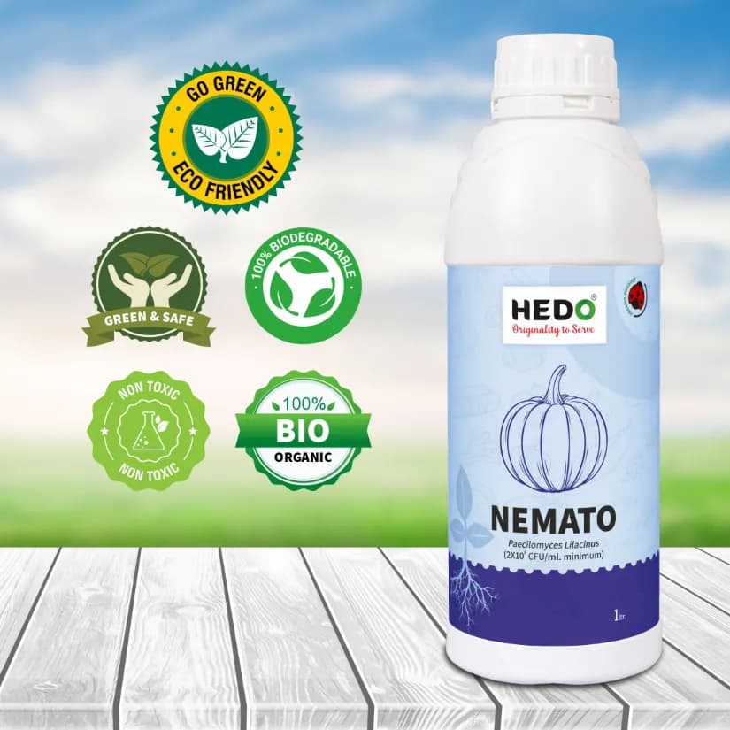 HEDO Nemato Pacilomyces Lilacinus Bio Organic Liquid For Agriculture, Garden & All Crops To Control Various Nematode And Other Soil Borne Diseases - Image 7