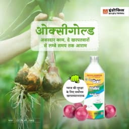 Indofil Oxygold Oxyfluorfen 23.5% EC Herbicide, Pre and Early Post Emergence 3