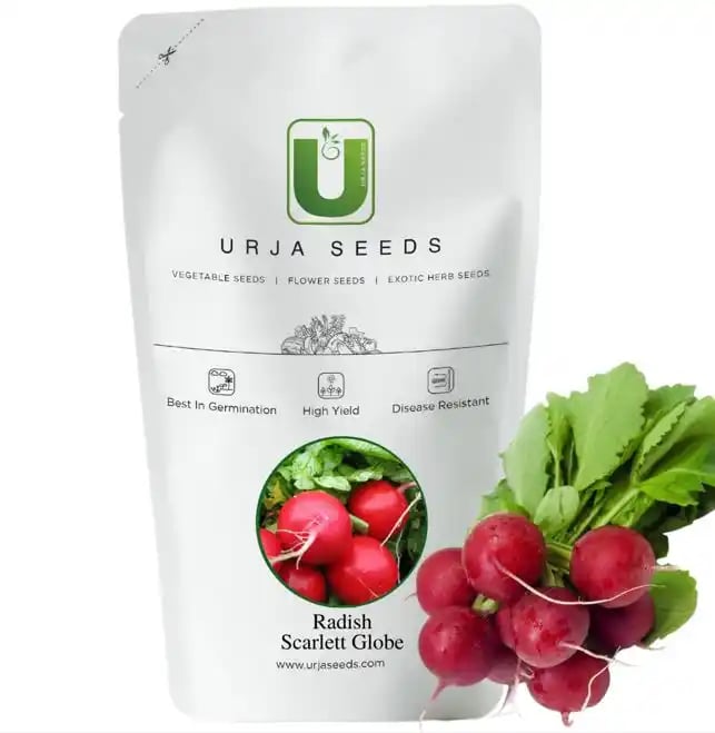 Urja Radish Seeds Scarlet Globe, Quick Growing Scarlet Red Roots, Crisp White Flesh