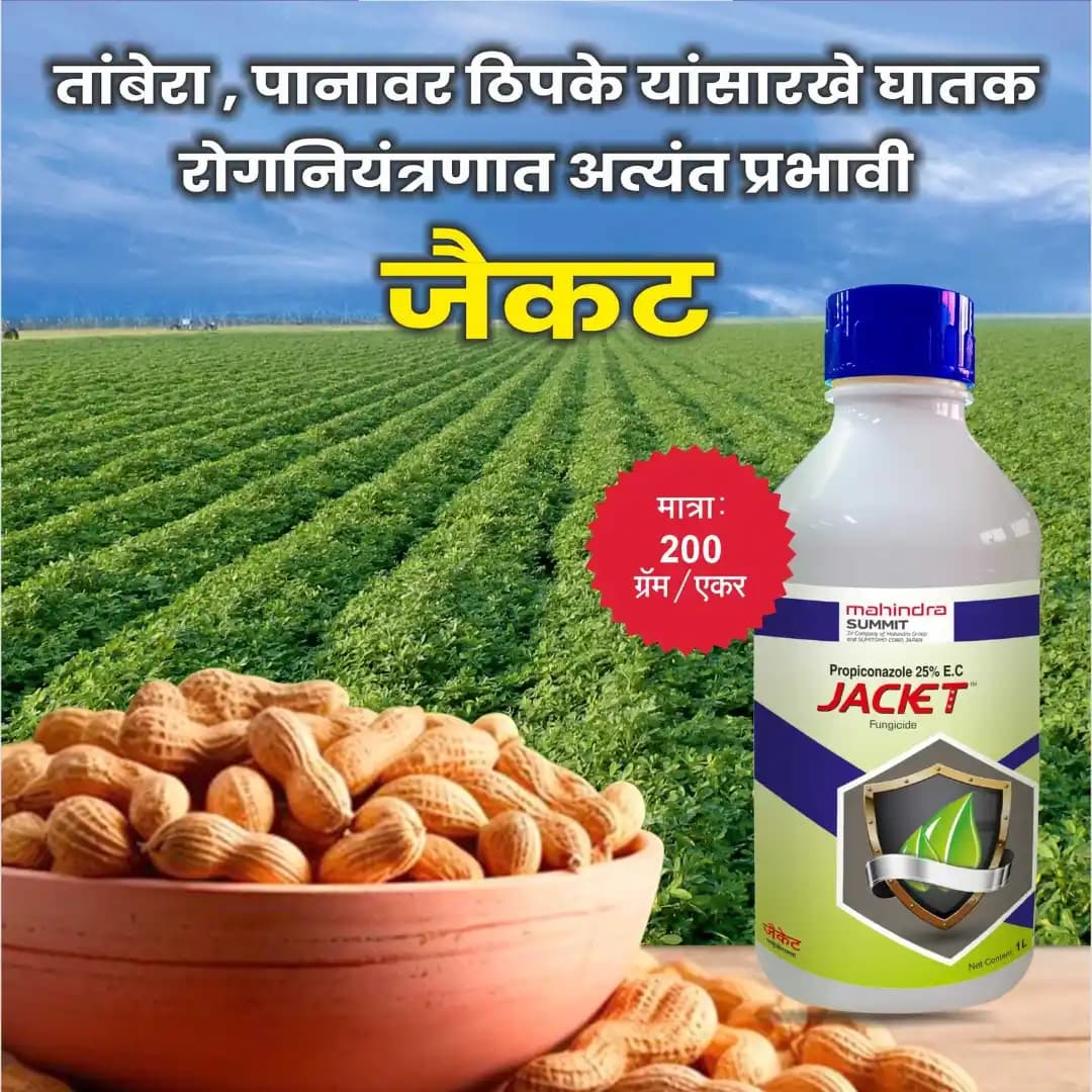 Mahindra Jacket Propiconazole 25% EC Fungicide, Systemic Broad-Spectrum And Effective Disease Control - Image 2