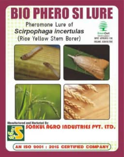 Sonkul Agro Industries Combo Of BIO PHERO SI Scirpophaga Incertulas (Rice Yellow Stem Borer) Lure & Funnel Trap Combo For Paddy Crop 2
