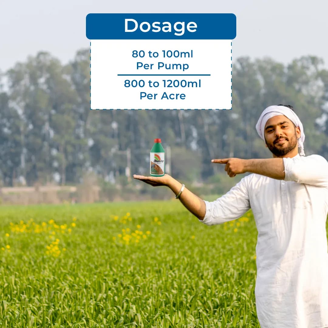 Bayer Monsanto Roundup Glyphosate 41% SL, For Killing all Weeds Non-Selective - Image 5