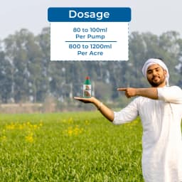 Bayer Monsanto Roundup Glyphosate 41% SL, For Killing all Weeds Non-Selective 5