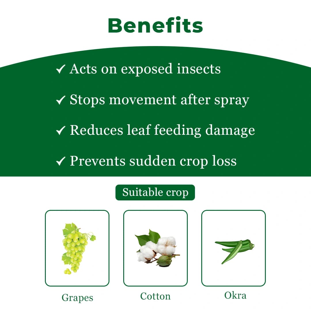 Exylon LambdaMax Lambda Cyhalothrin 5% EC Insecticide, Fast Knockdown And Lasting Control Of Bollworms, Aphids And Whiteflies In Crops - Image 4