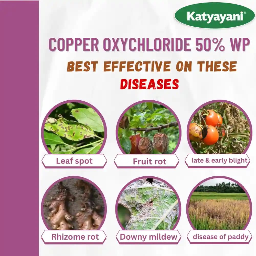 Katyayani COC 50 Copper Oxychloride 50% WP Fungicide, Effective Control Of Wide Range Of Fungal Diseases - Image 7