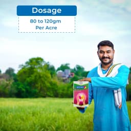 Bayer Nativo Tebuconazole 50% + Trifloxystrobin 25% WG (75 WG) Fungicide, Used To Control Various Fungal Diseases On Different Crops 5