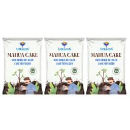 Utkarsh Mahua Cake Organic Fertilizer, Promotes Soil Fertility And Plant Immunity 4