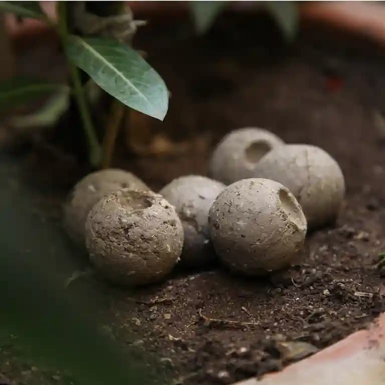 BUD (Fertilizer Balls) Set of 36 Balls Serving 36 Plants. a Fertilizer blend, which means it has multiple carefully selected natural ingredients.. - Image 2