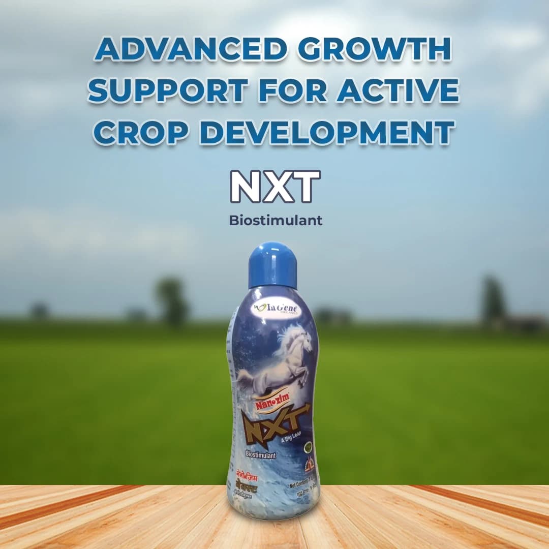 Nanozim Nxt (Ascophyllum Nodosum) Biostimulant - Image 2