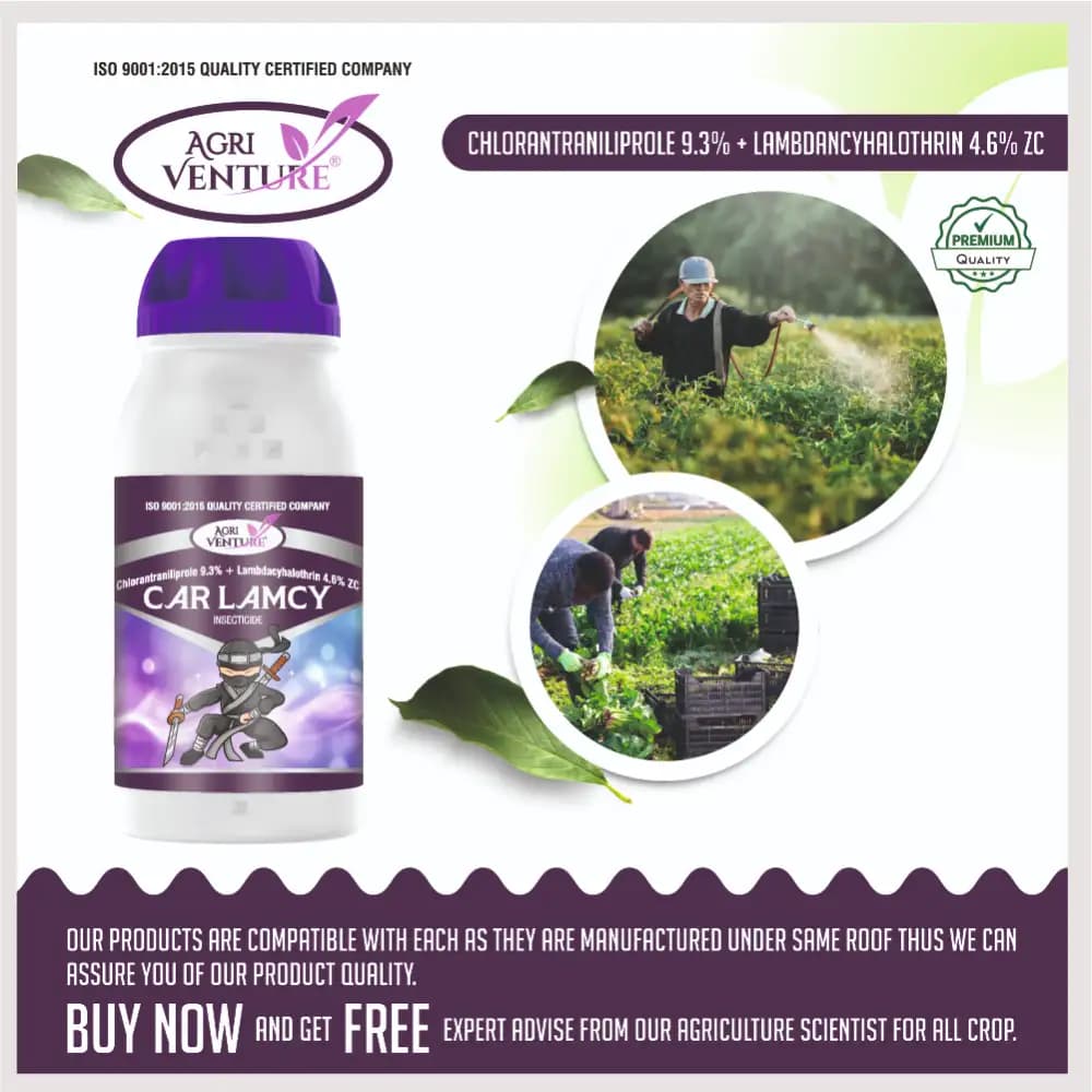 Agriventure CAR LAMCY Chlorantraniliprole 9.3% + Lambda Cyhalothrin 4.6% ZC Insecticide, Effective For Chewing And Sucking Pests - Image 5