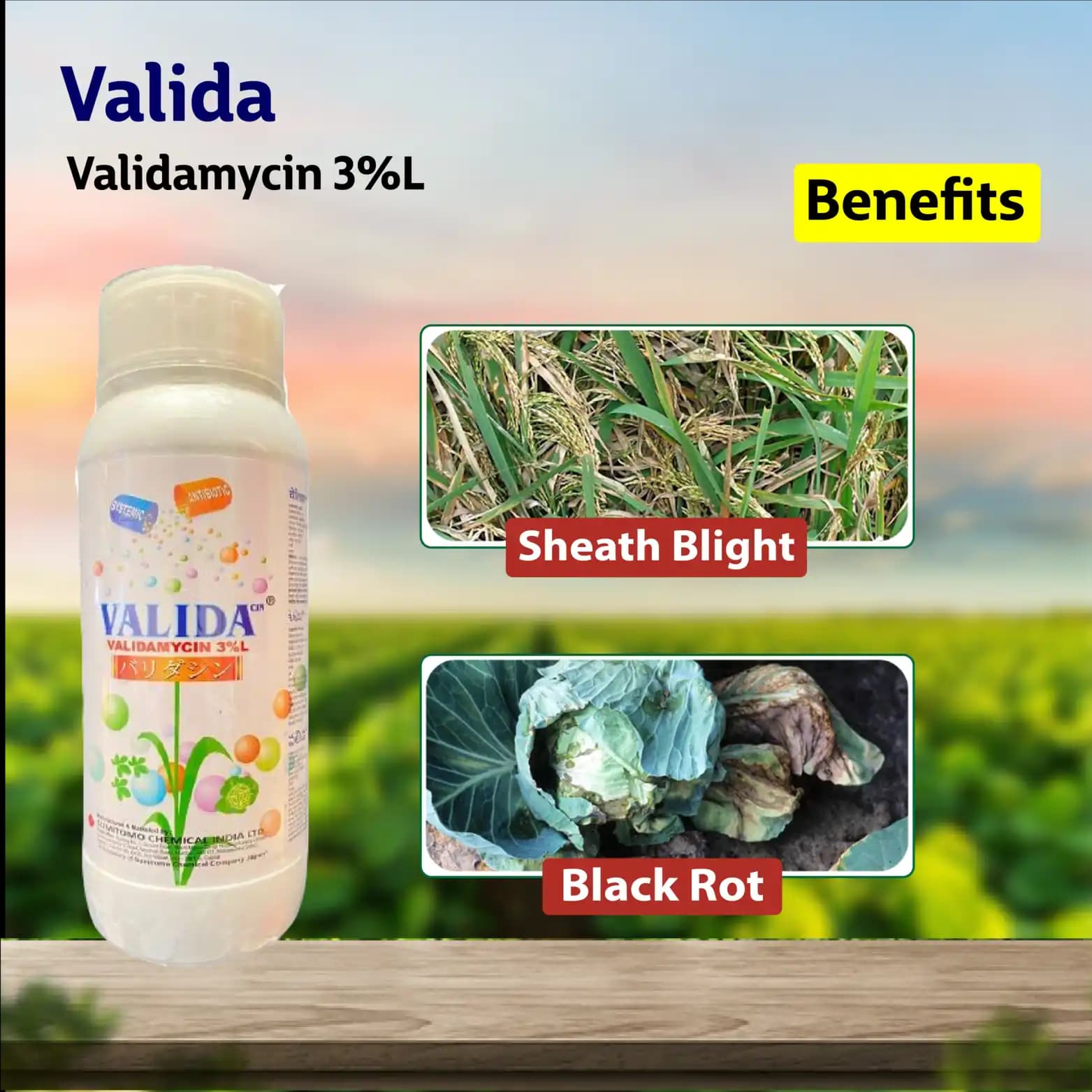 Sumitomo Valida Fungicide - Image 2