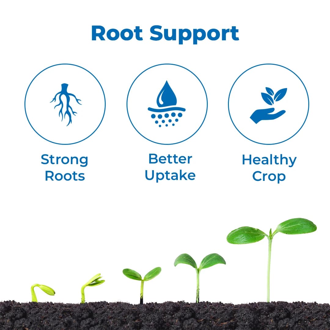 Dr. Bacto\'s Bactorhiza Powder Formulation Of Vesicular Arbuscular Mycorrhizae, Increases Water And Nutrient - Image 3