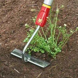 वोल्फ गार्टन फ्लोरल हो (HU M15) 15 सेमी - हैंडल रहित ड्रॉ हो निराई उपकरण, उत्कृष्ट निराई-गुड़ाई का औज़ार 3