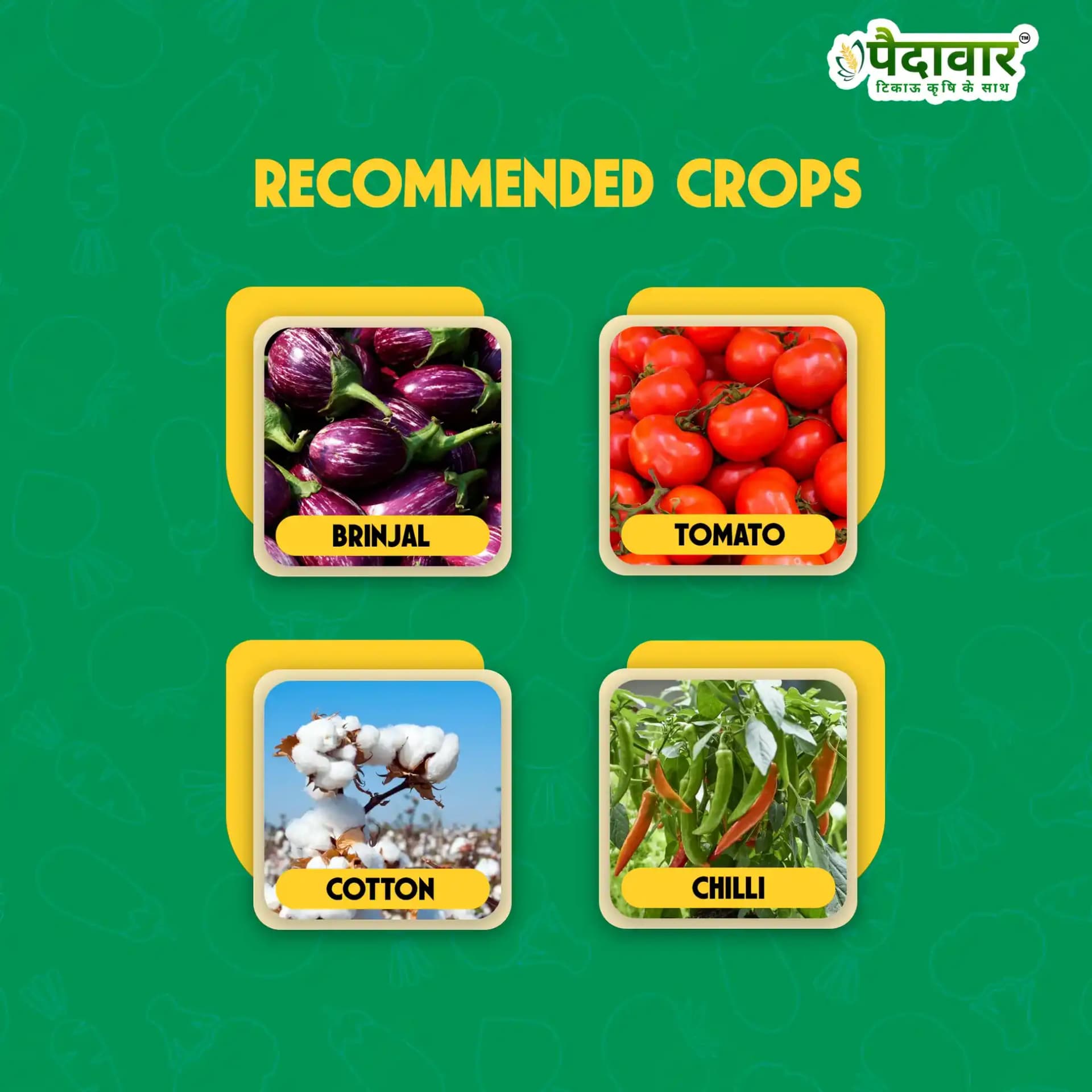 Paidarvaar Sate 404 Profenophos 40% + Cypermethrin 4% EC Insecticide For Crop Protection - Image 4